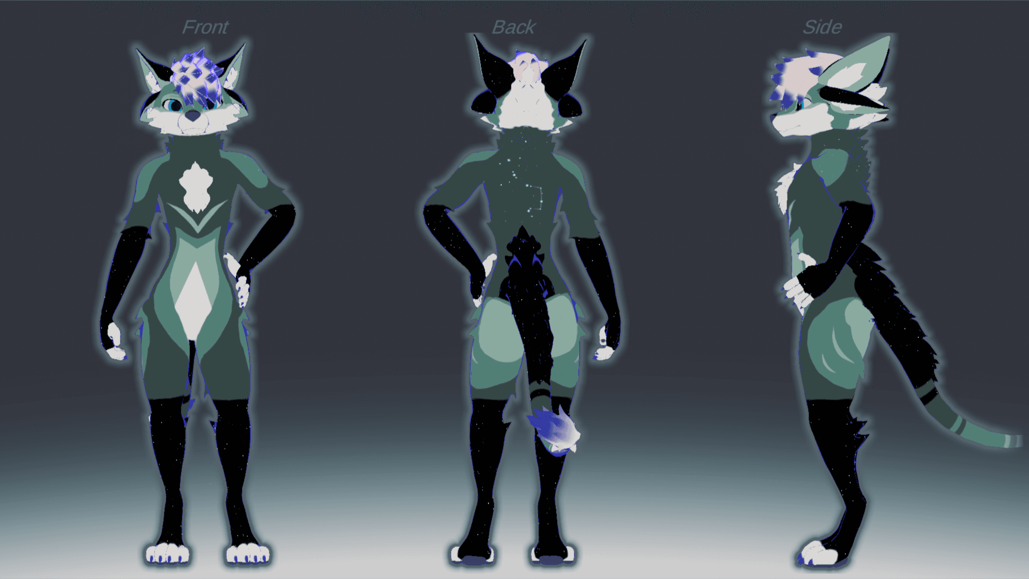 Banner image