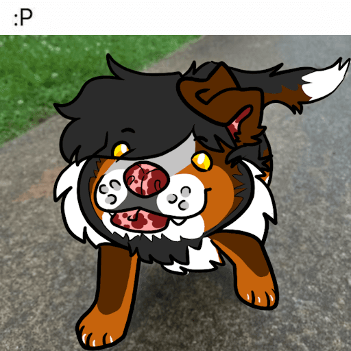 JACKSONTHEDOGGE